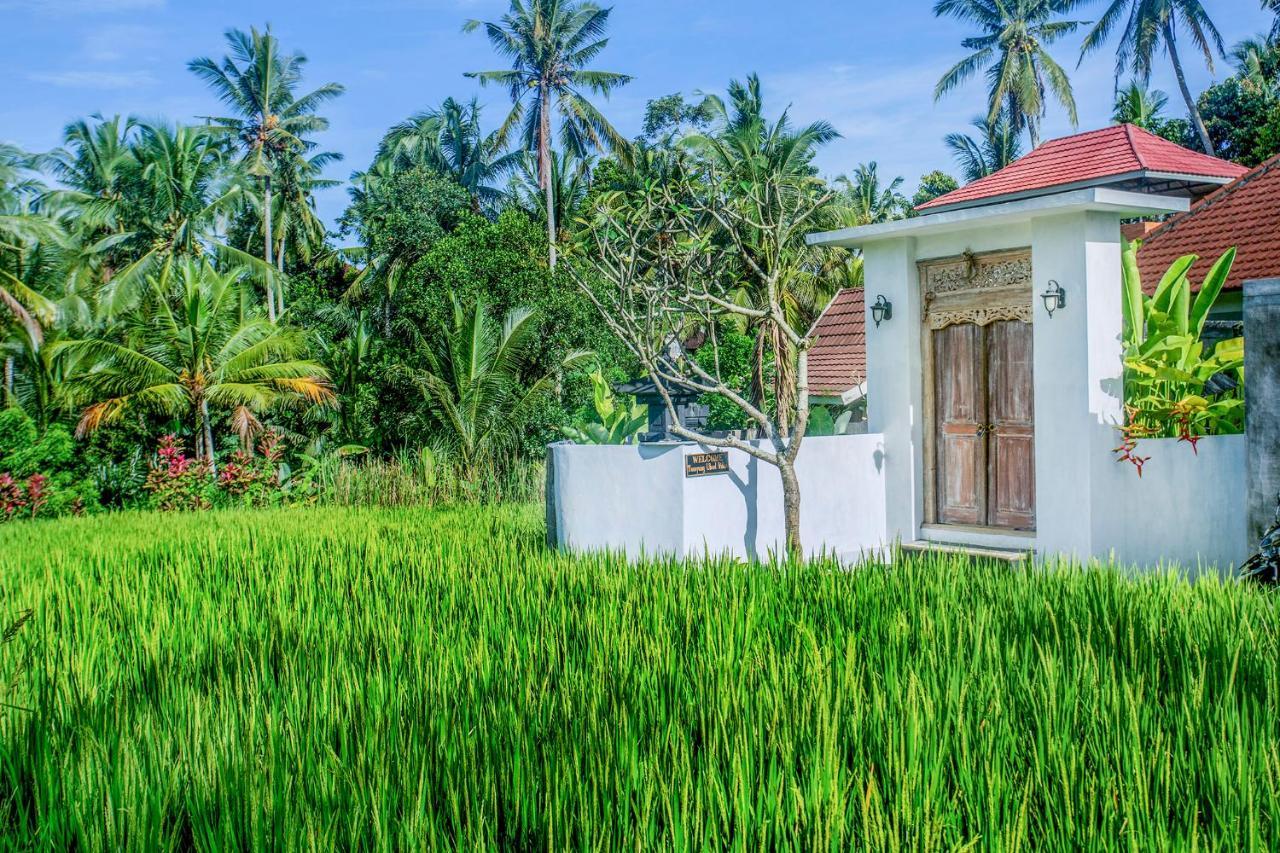 Tamyang Ubud Villas Buitenkant foto