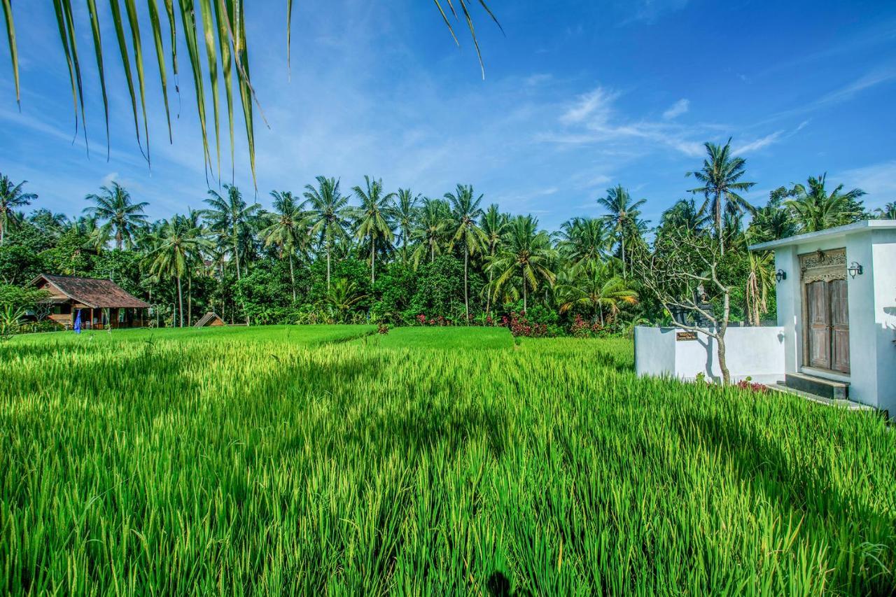 Tamyang Ubud Villas Buitenkant foto